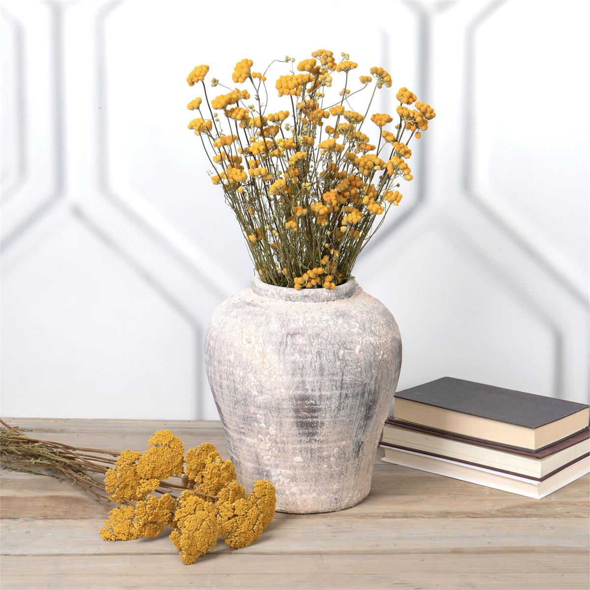 Willow group Lona Dried Flowers