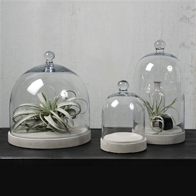 Glass Dome - Sm - Clear