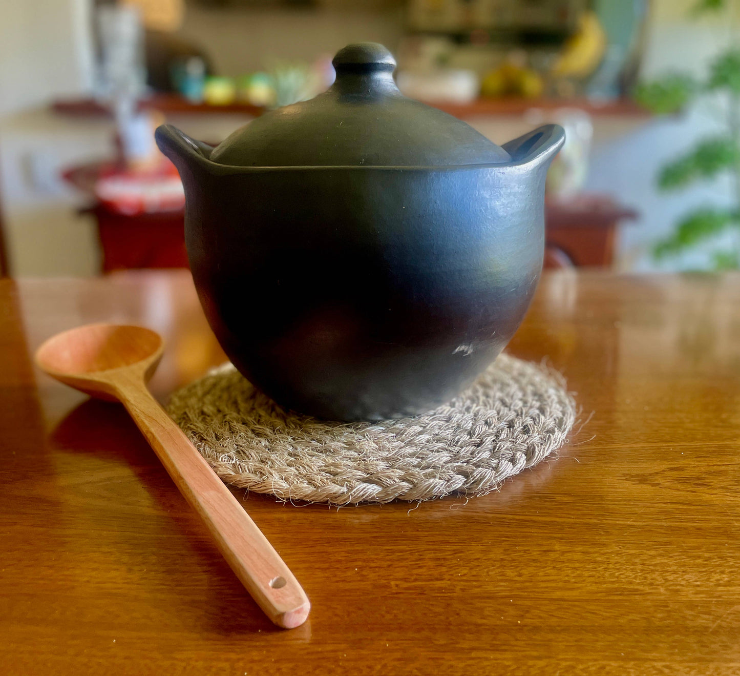 Clay Pot for Cooking with Lid