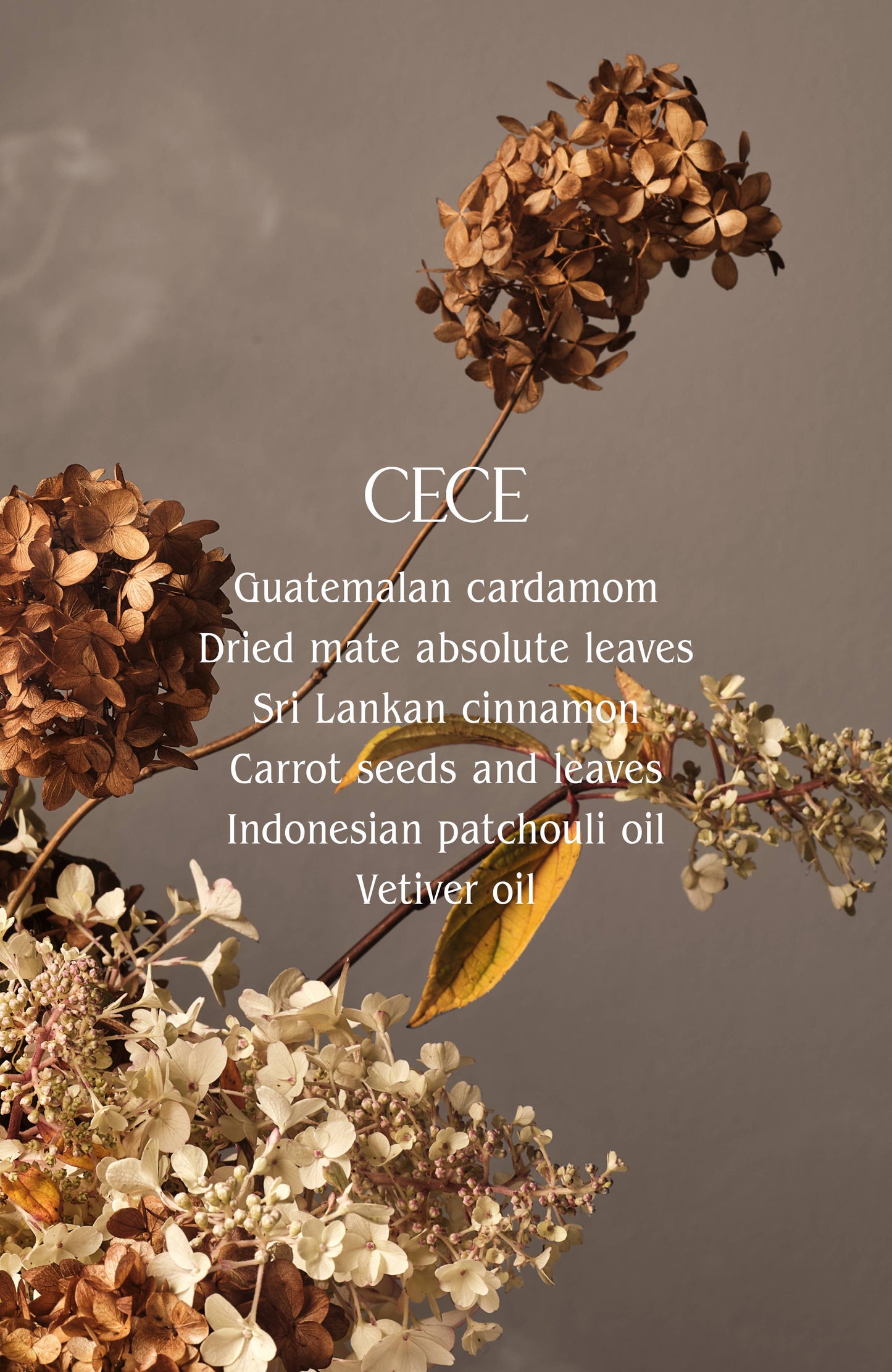 Signature Ceramic Candle | Clean Burn with Luxury Fragrance