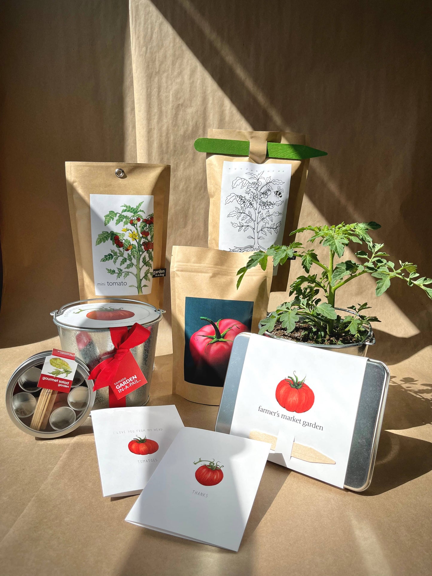 Kids Garden in a Bag | Tomato | Summer Break Gift