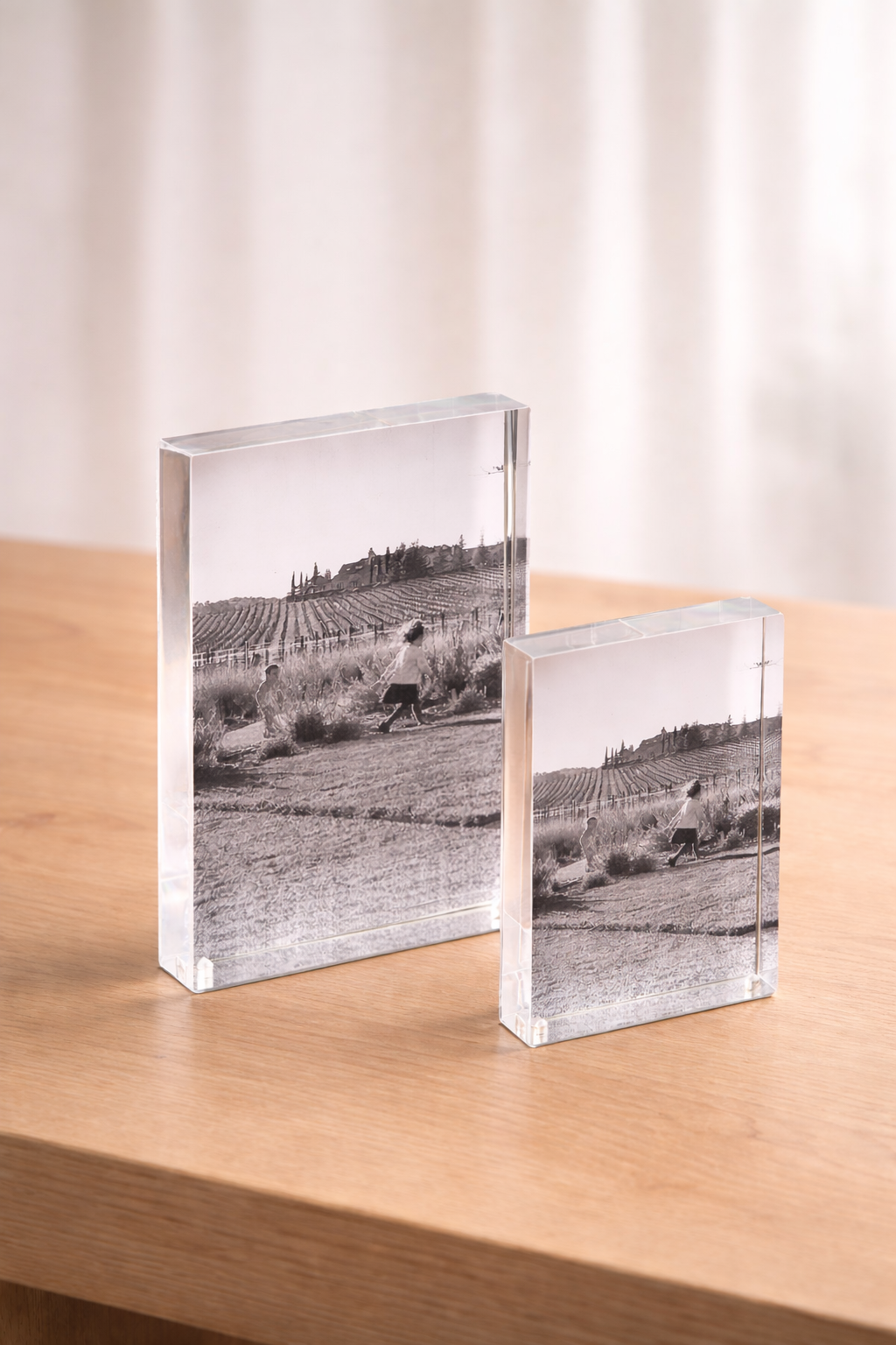 Sandy Acrylic & Stainless Steel Frame