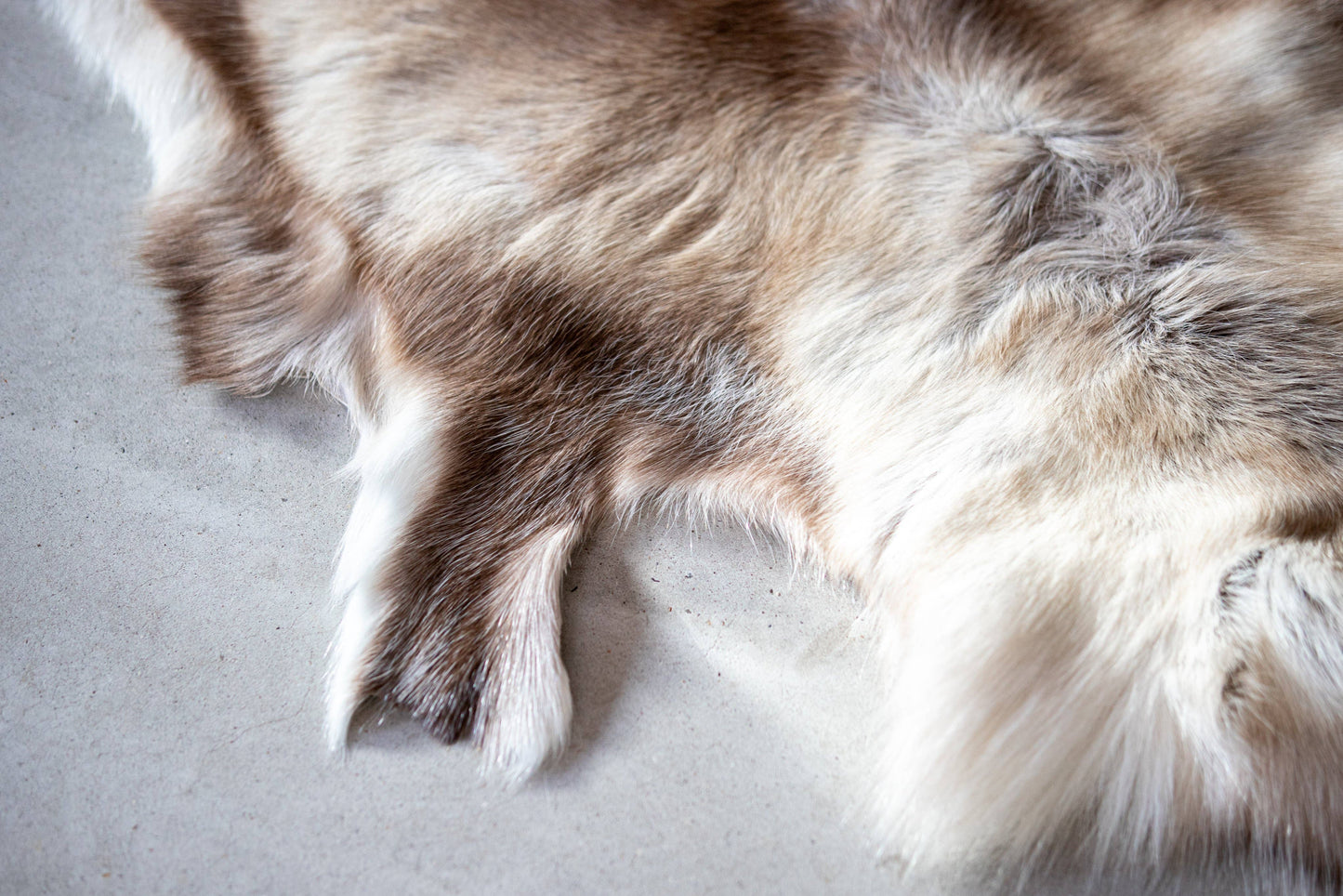 Natural Light Reindeer Hide | Scandinavian Decor | 125x75 cm