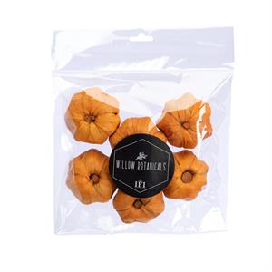 Willow Group Pumpkins, 6 pc bag