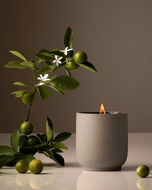 Signature Ceramic Candle | Clean Burn with Luxury Fragrance