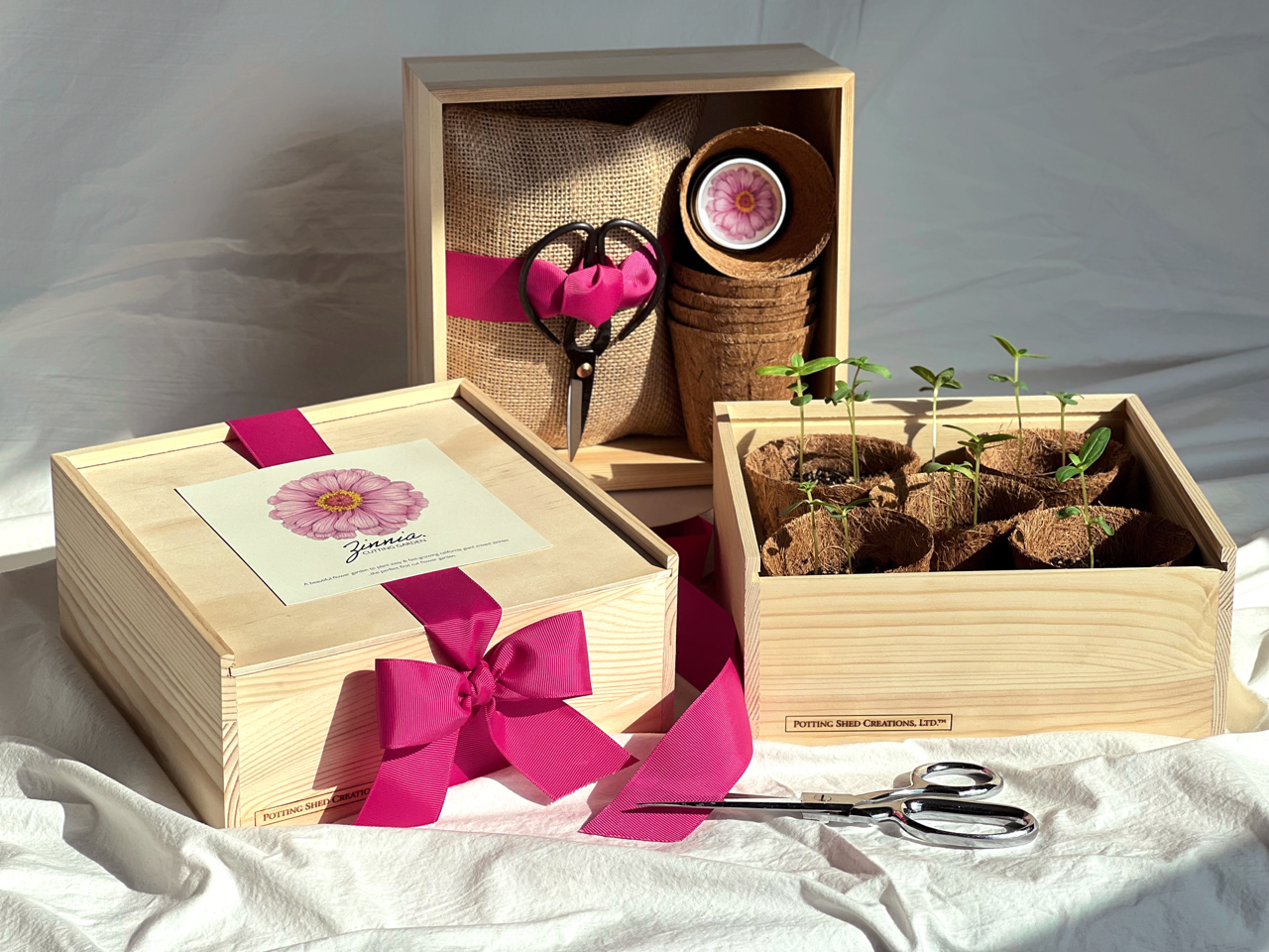 NEW Culinary Herb Garden Box | Thoughtful Gift| Spring