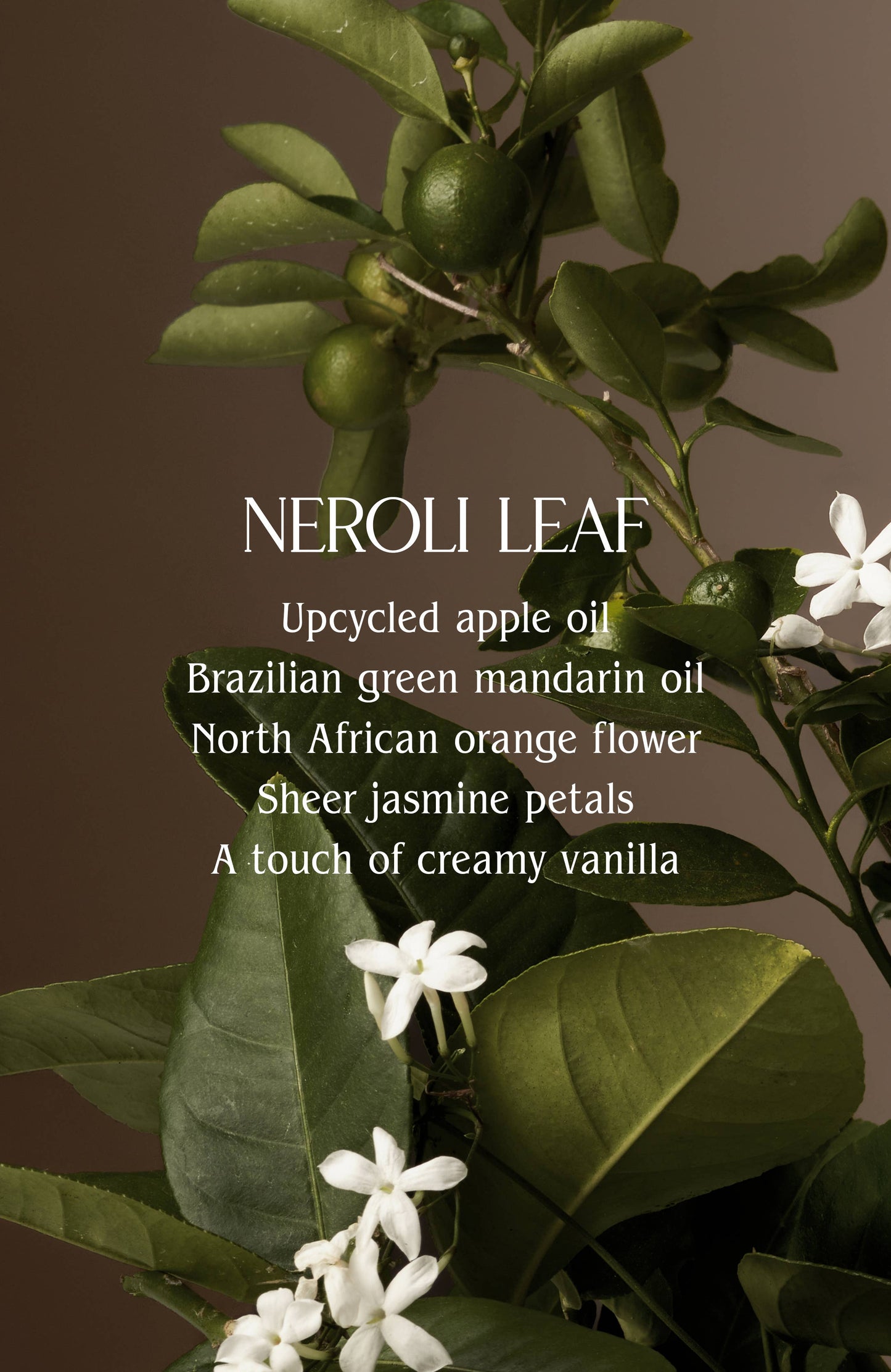 Signature Ceramic Candle | Clean Burn with Luxury Fragrance