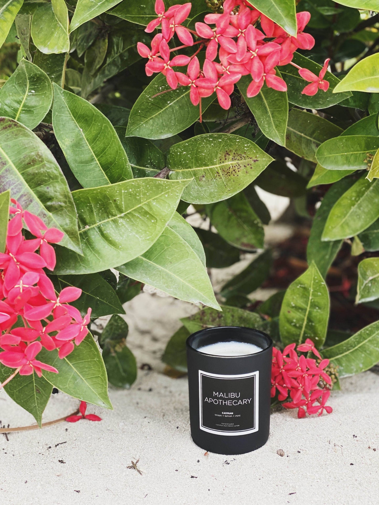 Malibu Apothecary Mini Matte Black Candle