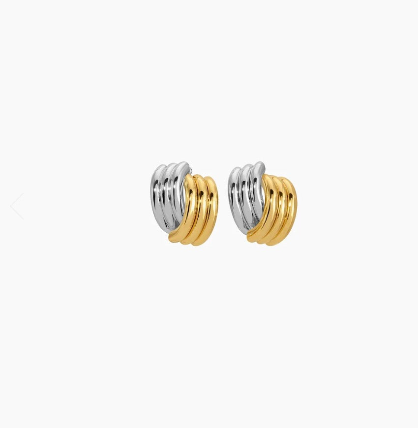 Clove Earrings
