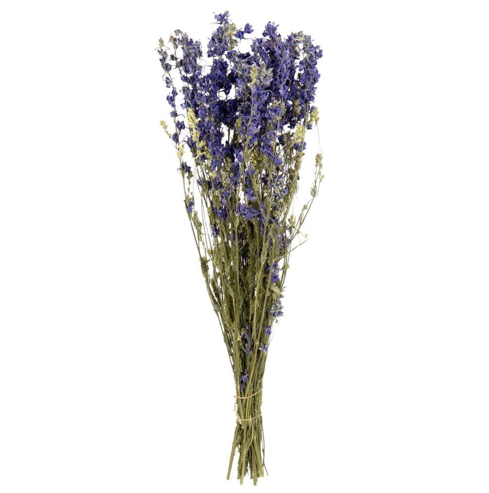 Willow Group Delphinium Bunch