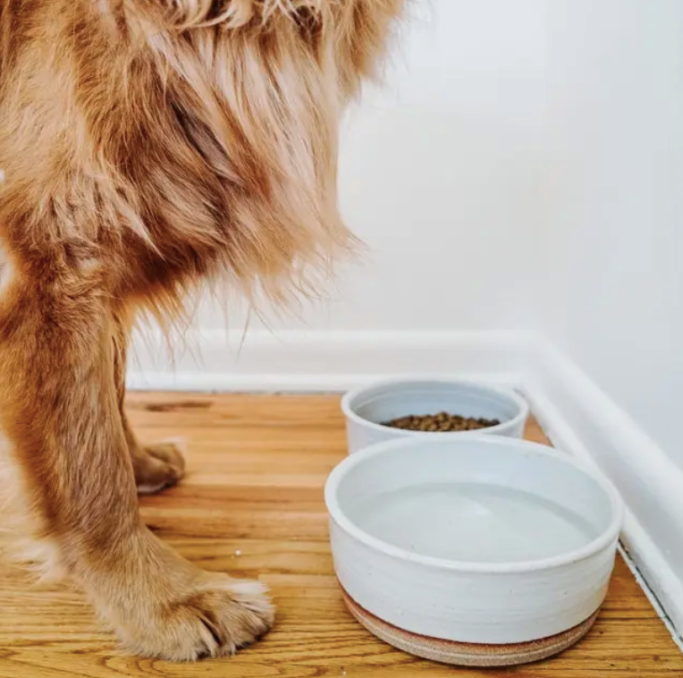 Nesting Set-Dog Bowls