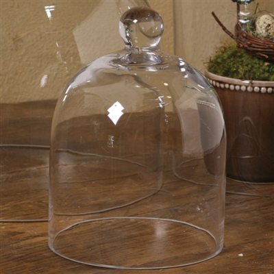Glass Dome - Sm - Clear