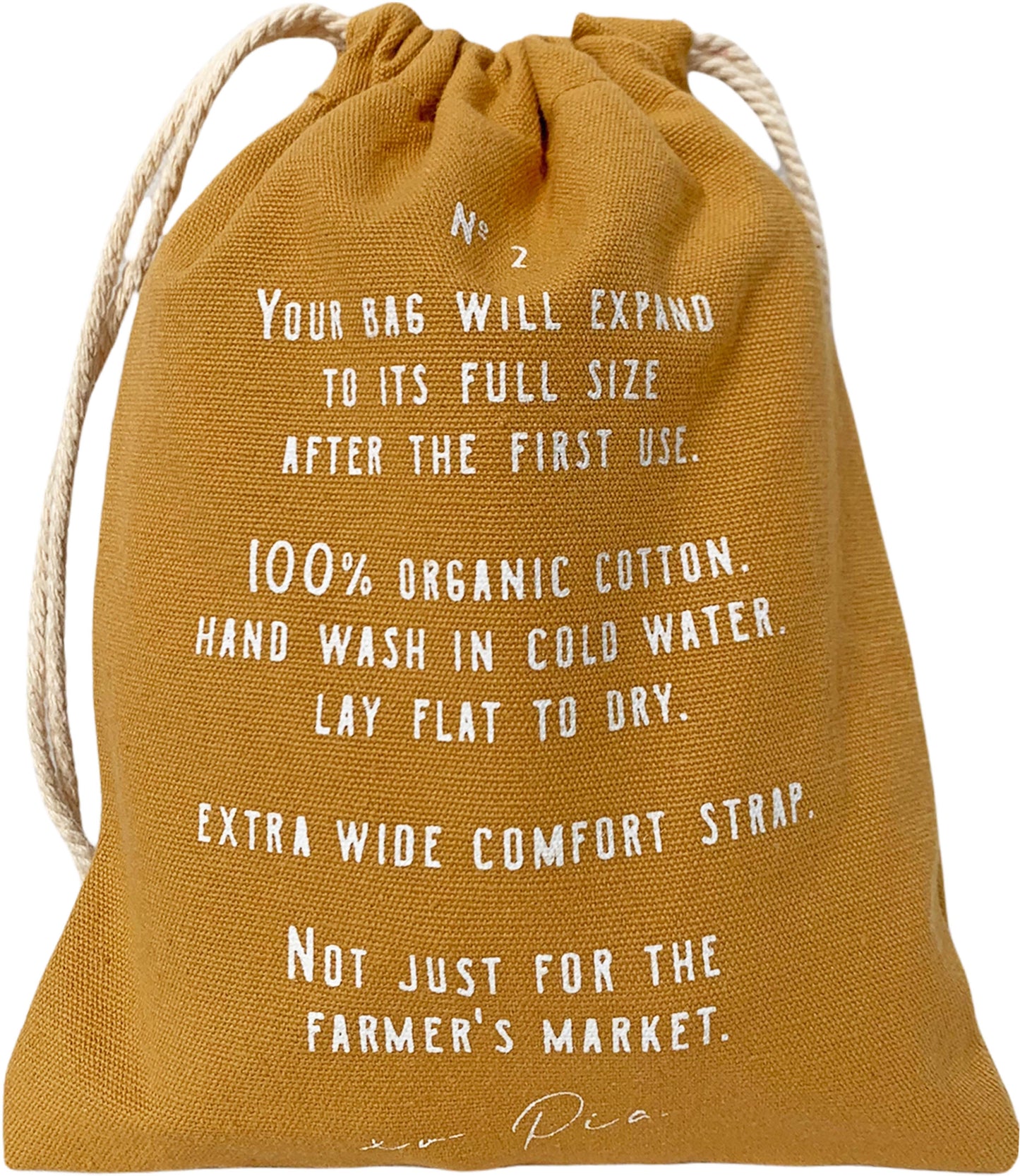 The french market bag