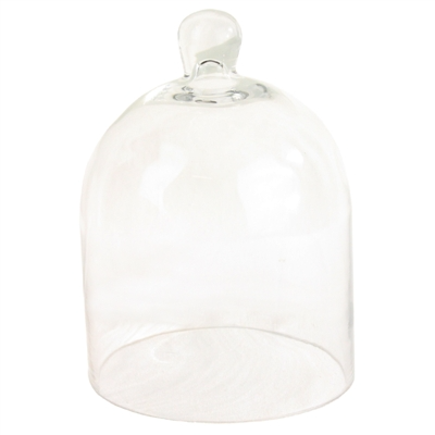 Glass Dome - Clear