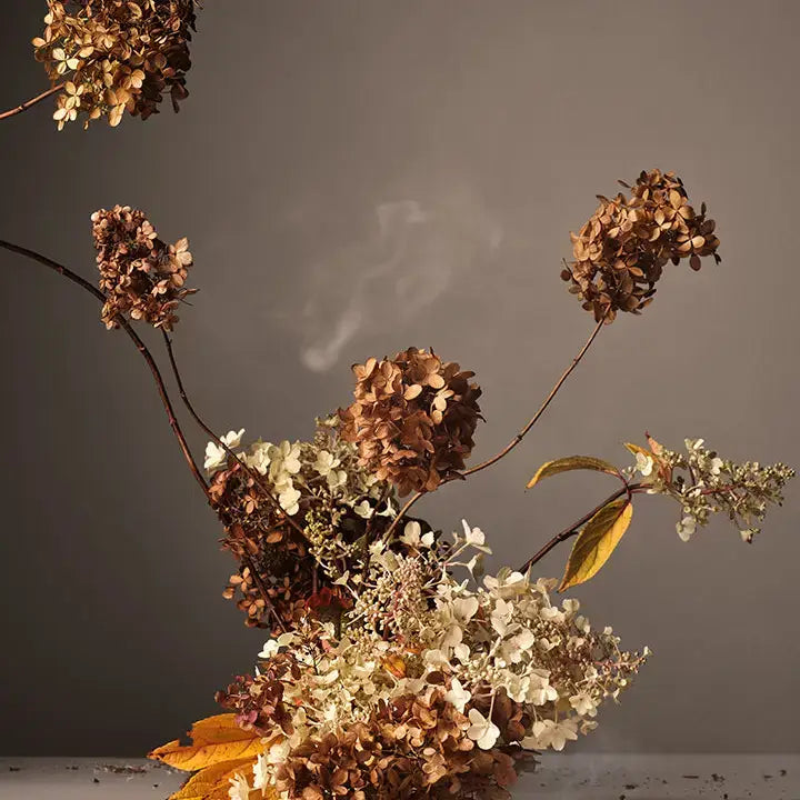 Cece Perfume Oil | Half Case