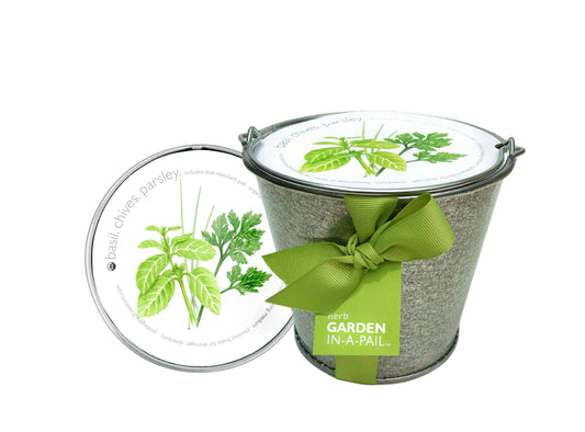 Garden in a Pail | Herbs | Kitchen | Spring gift