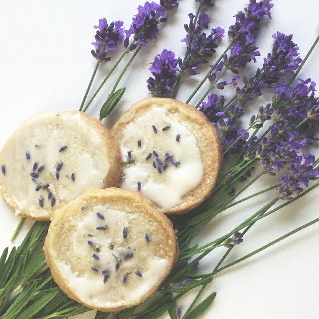 Garden in a Pail | Lavender | Kitchen | Spring Gift
