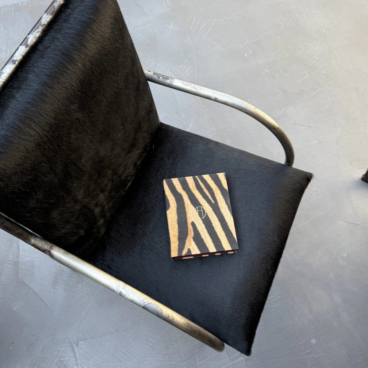 Mini Book Box Zebra