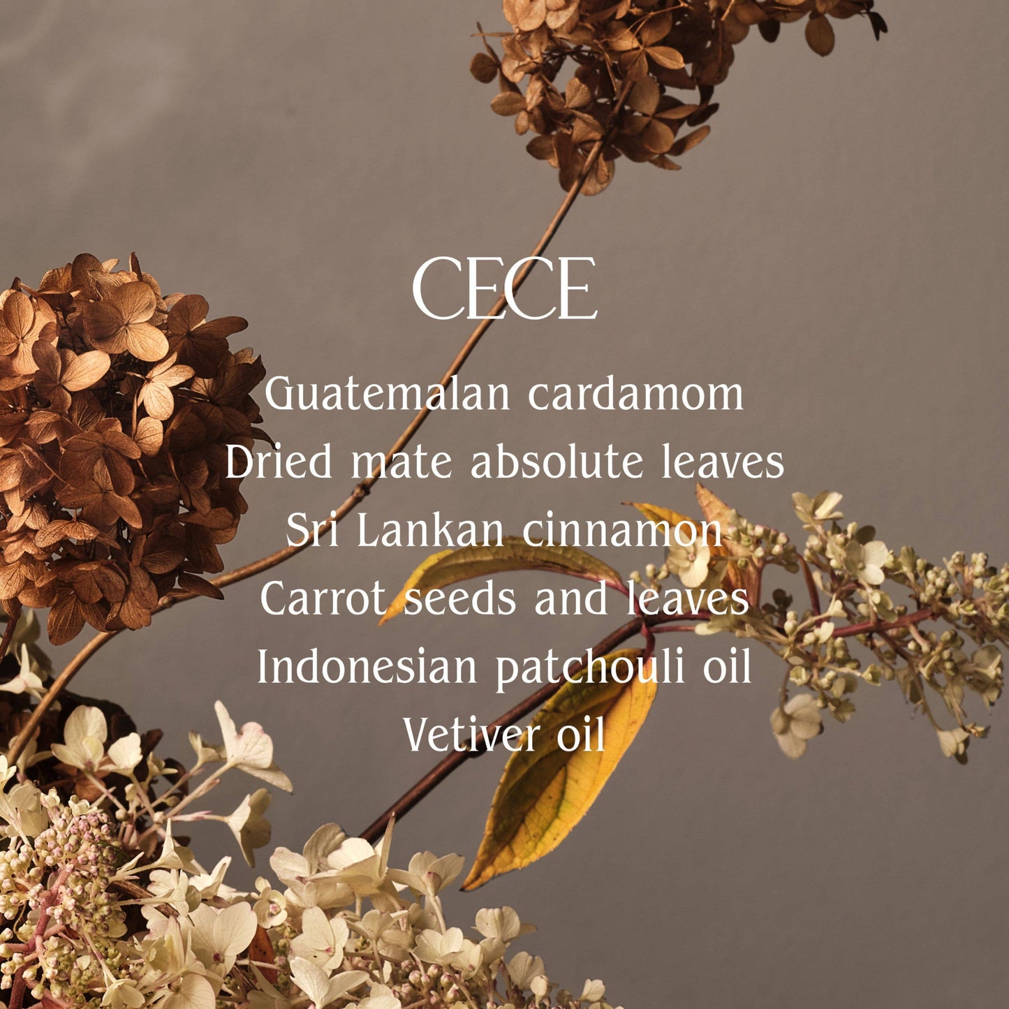 Cece Perfume Oil | Half Case