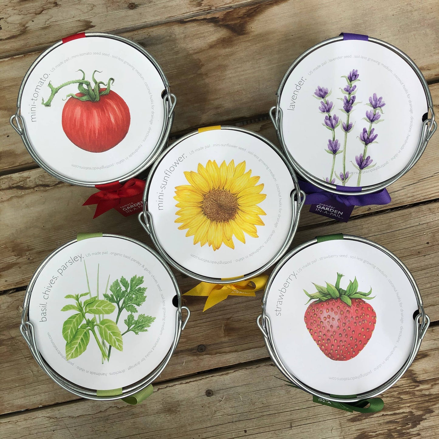 Garden in a Pail | Mini Tomato |Easy Spring Container Garden
