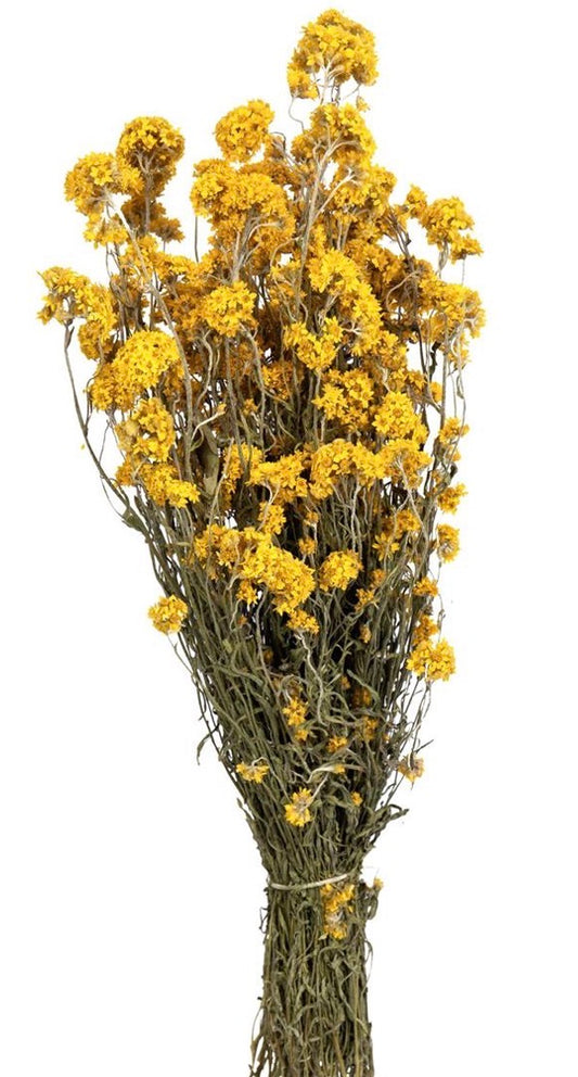 Willow Group Sanfordii Natural Yellow