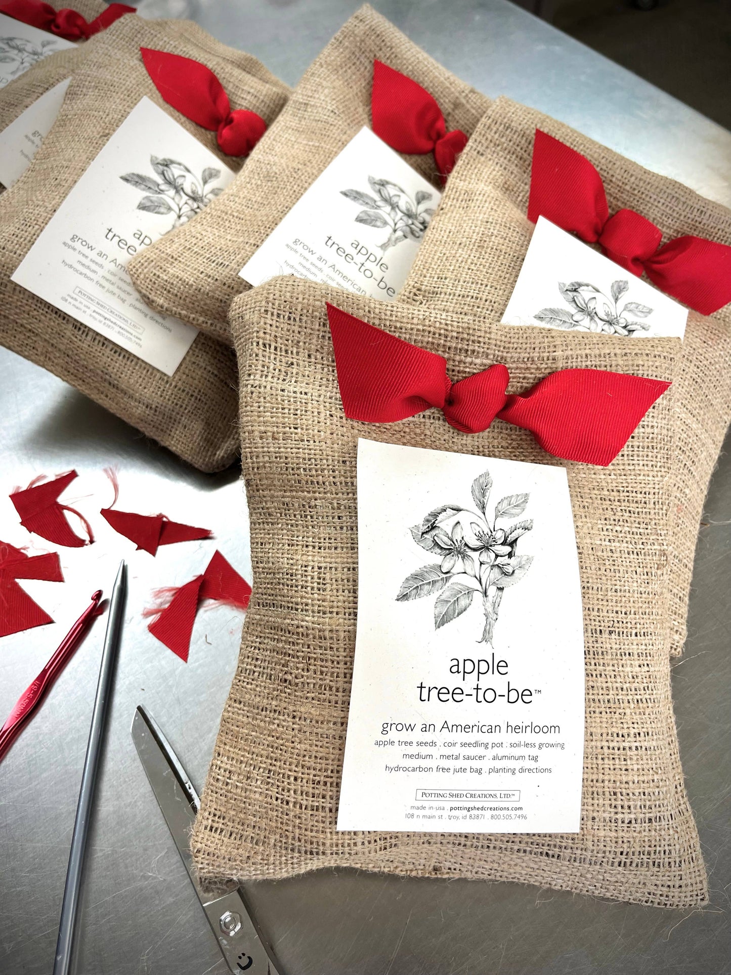 Tree To Be | Apple | Teacher Thank you gift | Kid Activity