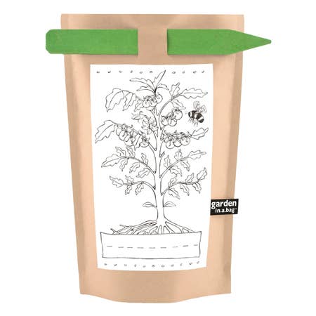 Kids Garden in a Bag | Tomato | Summer Break Gift