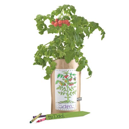 Kids Garden in a Bag | Tomato | Summer Break Gift