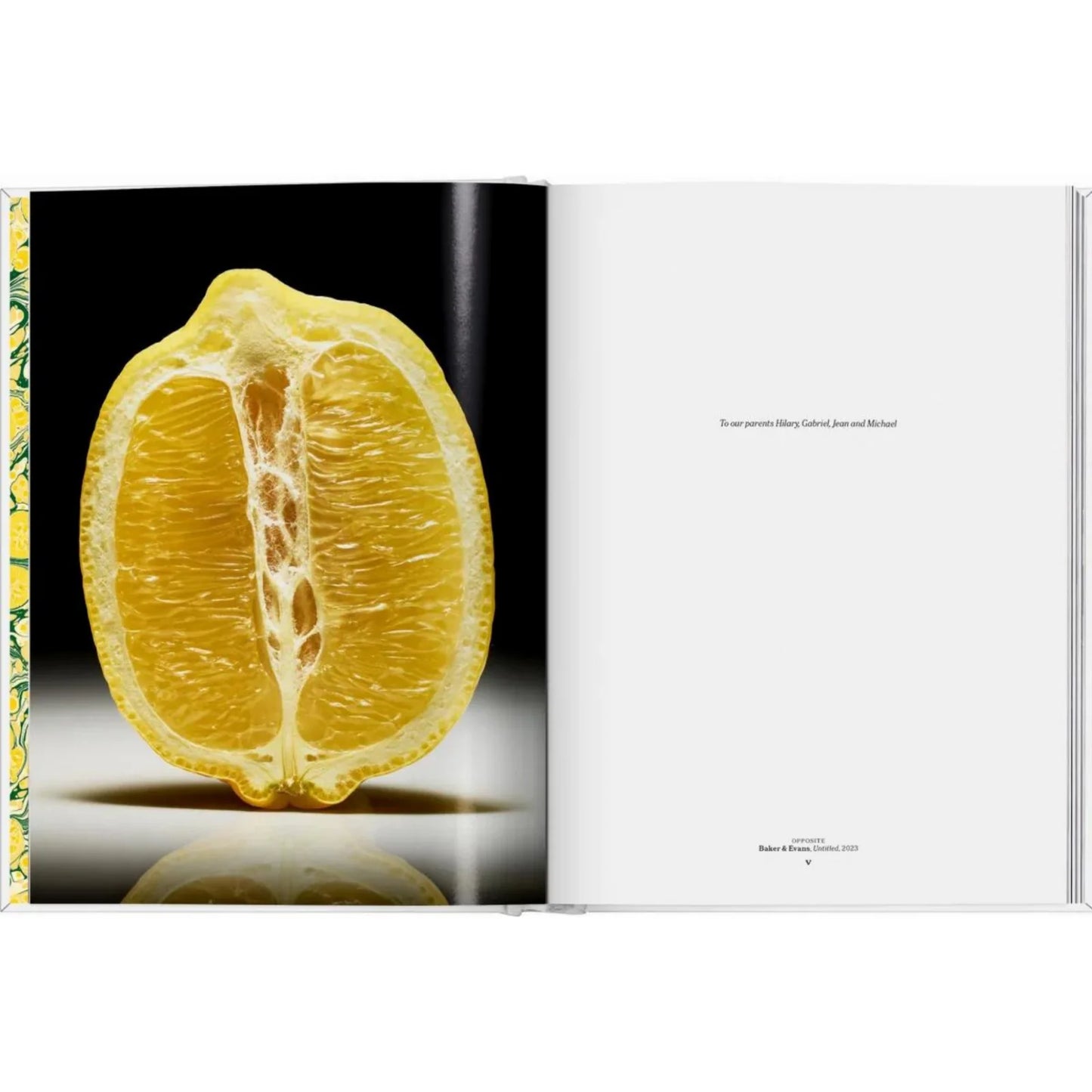 The Gourmand’s Lemon & The Gourmand’s Egg
