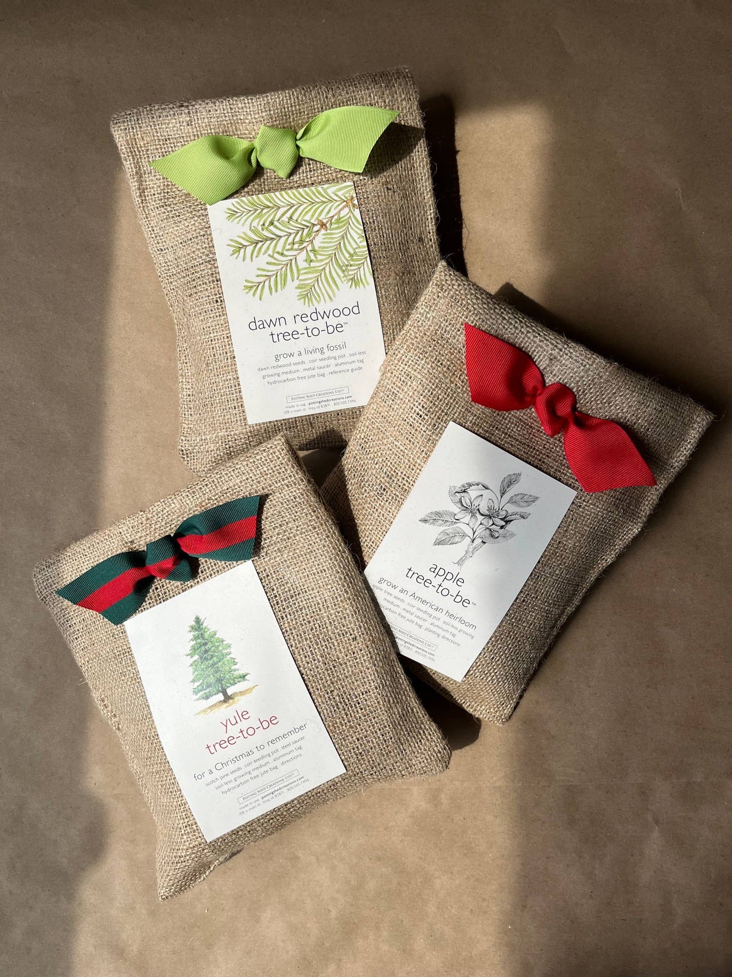 Tree To Be | Apple | Teacher Thank you gift | Kid Activity