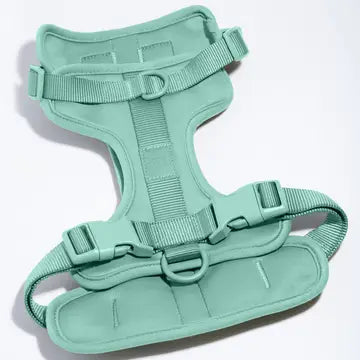 Adjustable Comfort Dog Harness- Seafoam