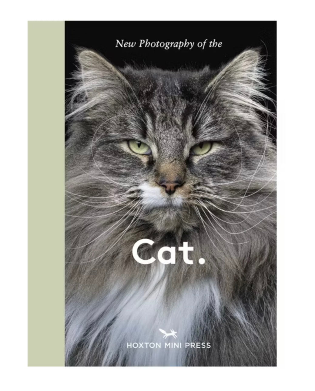New Photography of the Cat.