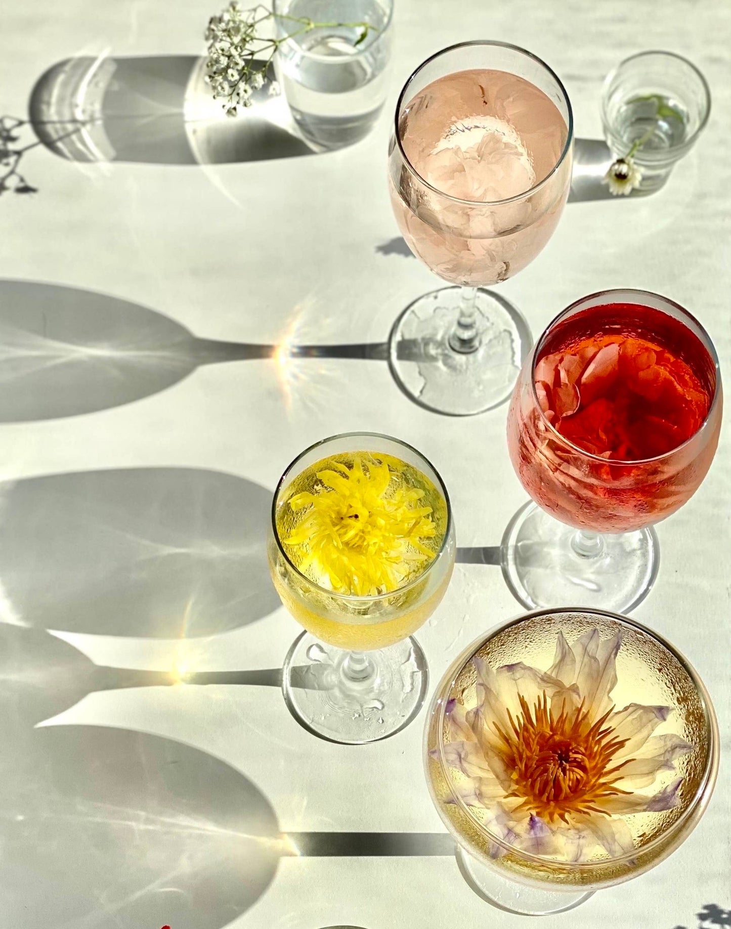 Bulk 100 Individually Wrapped Flower teas (herbal tea)