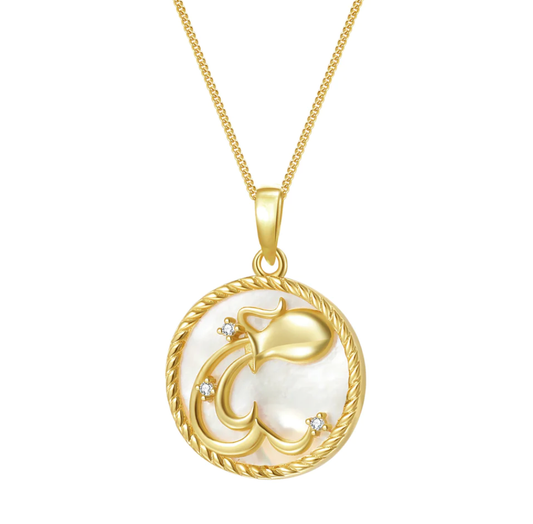 Aquarius-Astrological Zodiac- Mother of Pearl- Collection