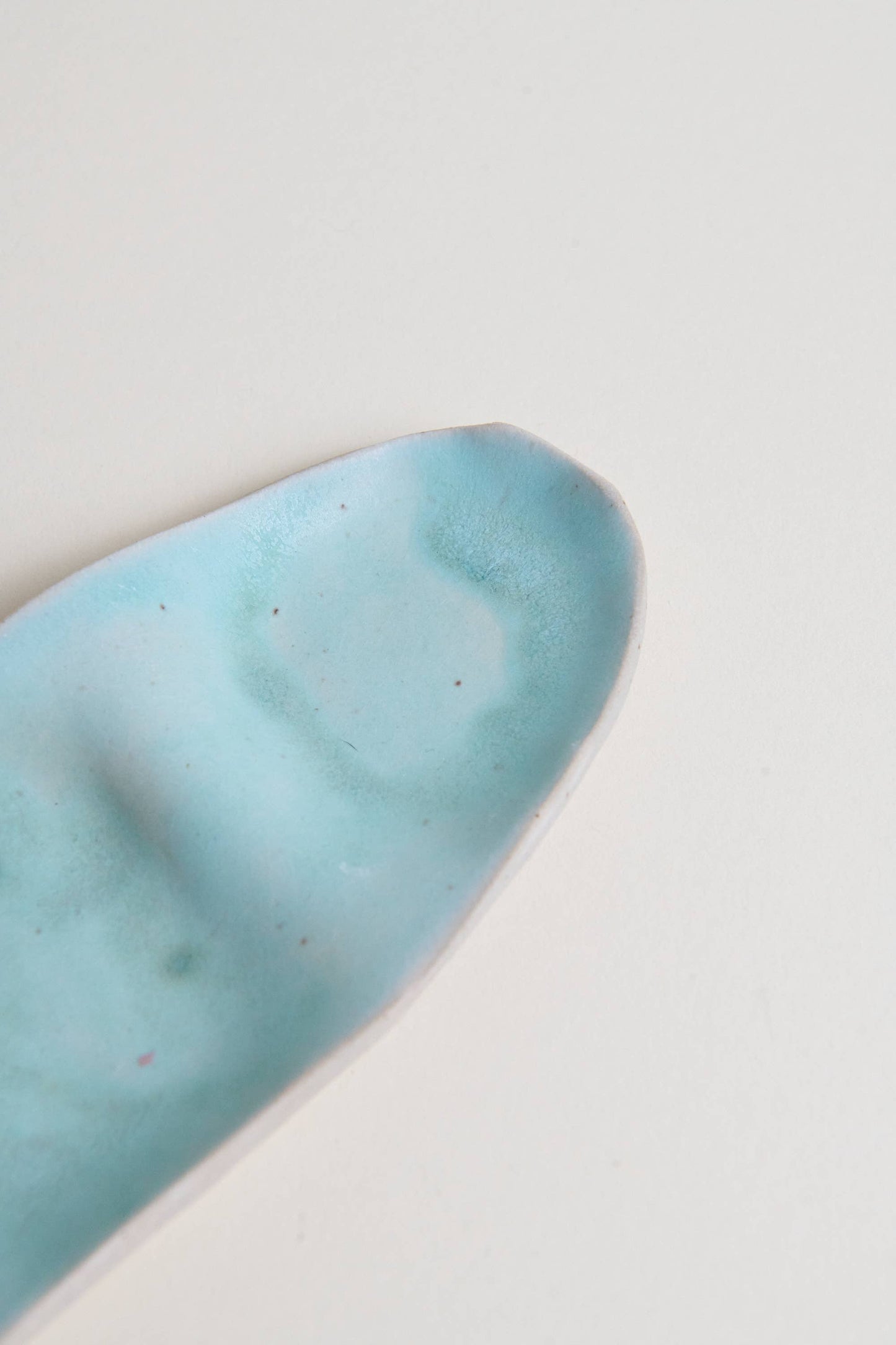 The Colorful Pod Dish