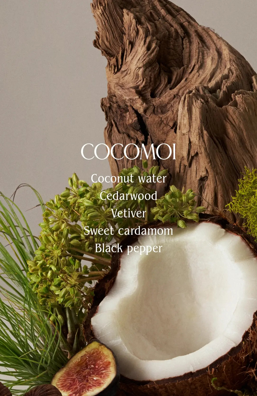 Cocomoi Body Mist | Half Case