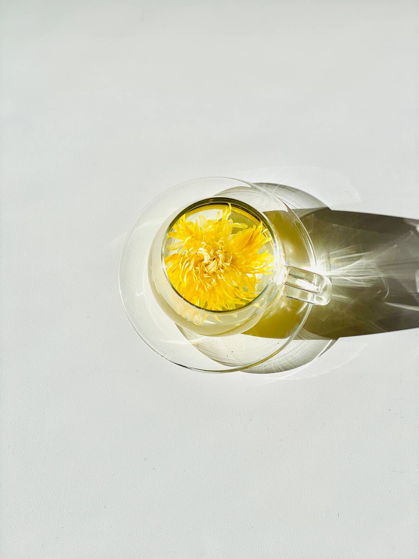 Bulk 100 Individually Wrapped Flower teas (herbal tea)