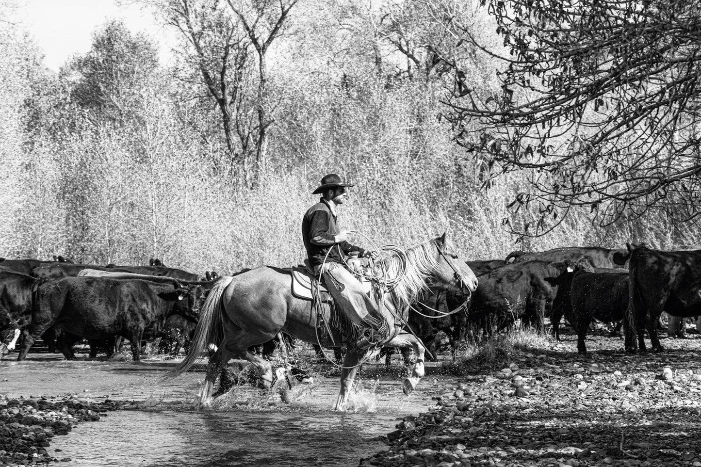 A Ranch Year