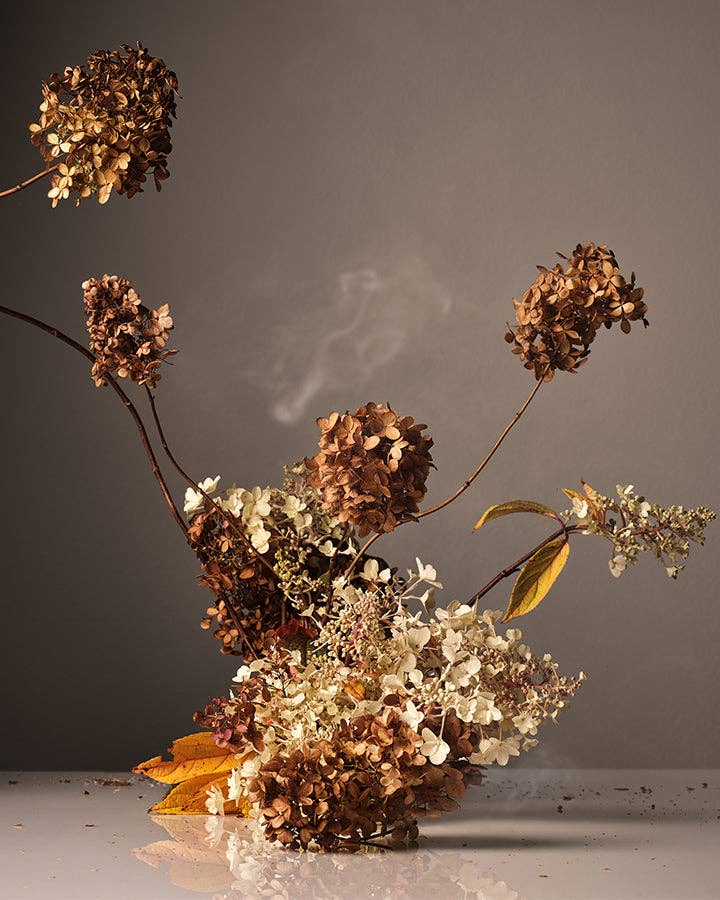 Cece Body Wash