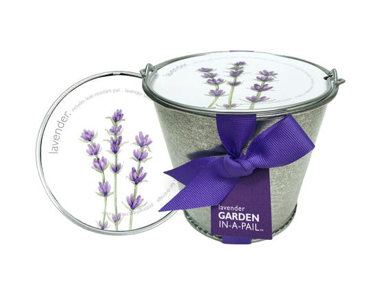 Garden in a Pail | Lavender | Kitchen | Spring Gift