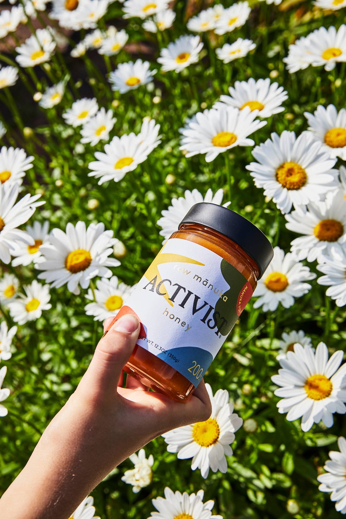 Manuka for Munchkins Honey