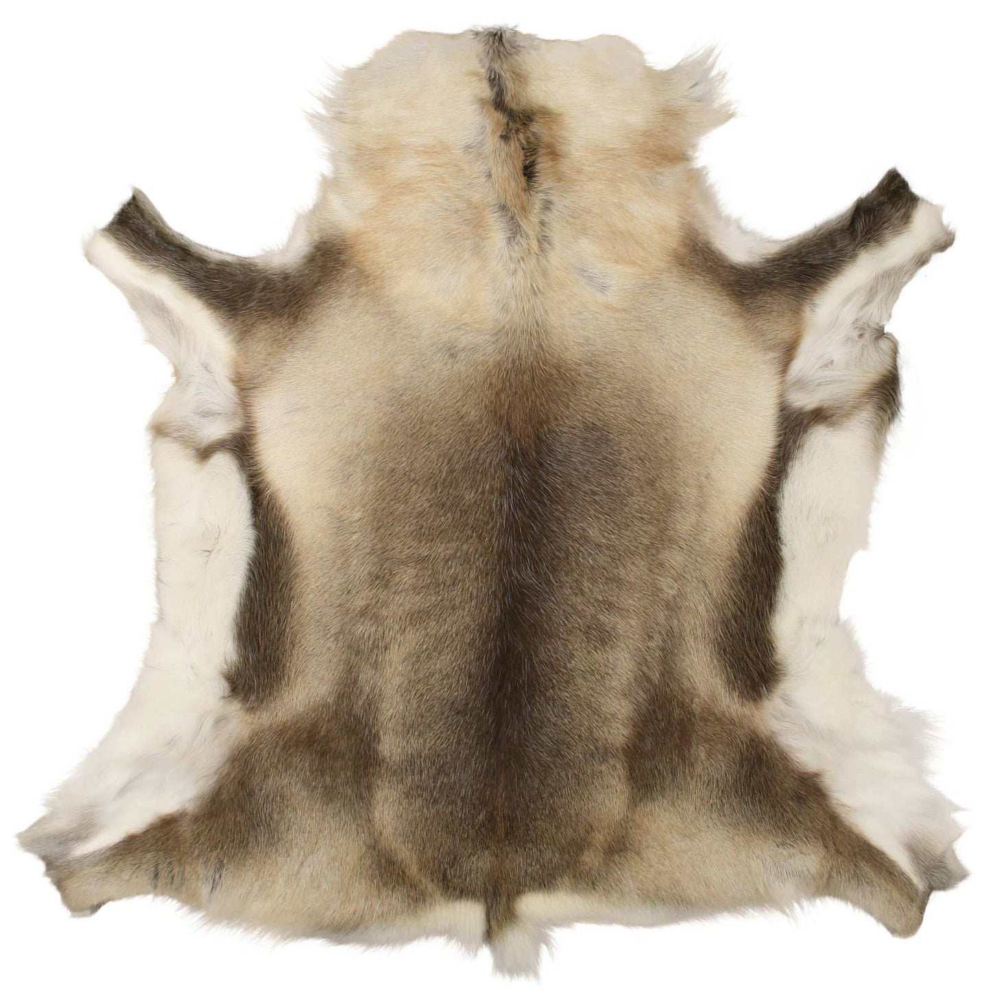 Natural Light Reindeer Hide | Scandinavian Decor | 125x75 cm