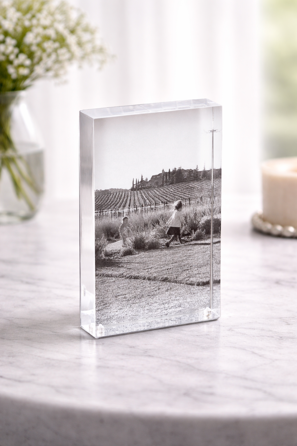 Sandy Acrylic & Stainless Steel Frame