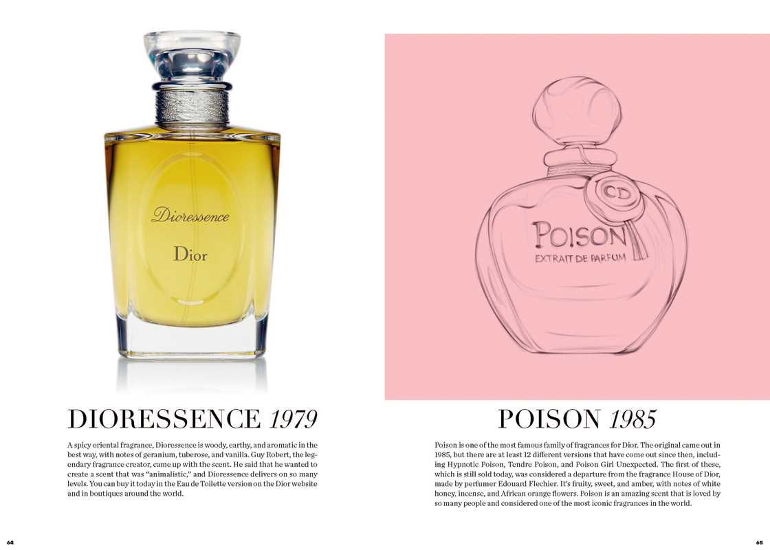 Essence of Dior by Kelly  Reising