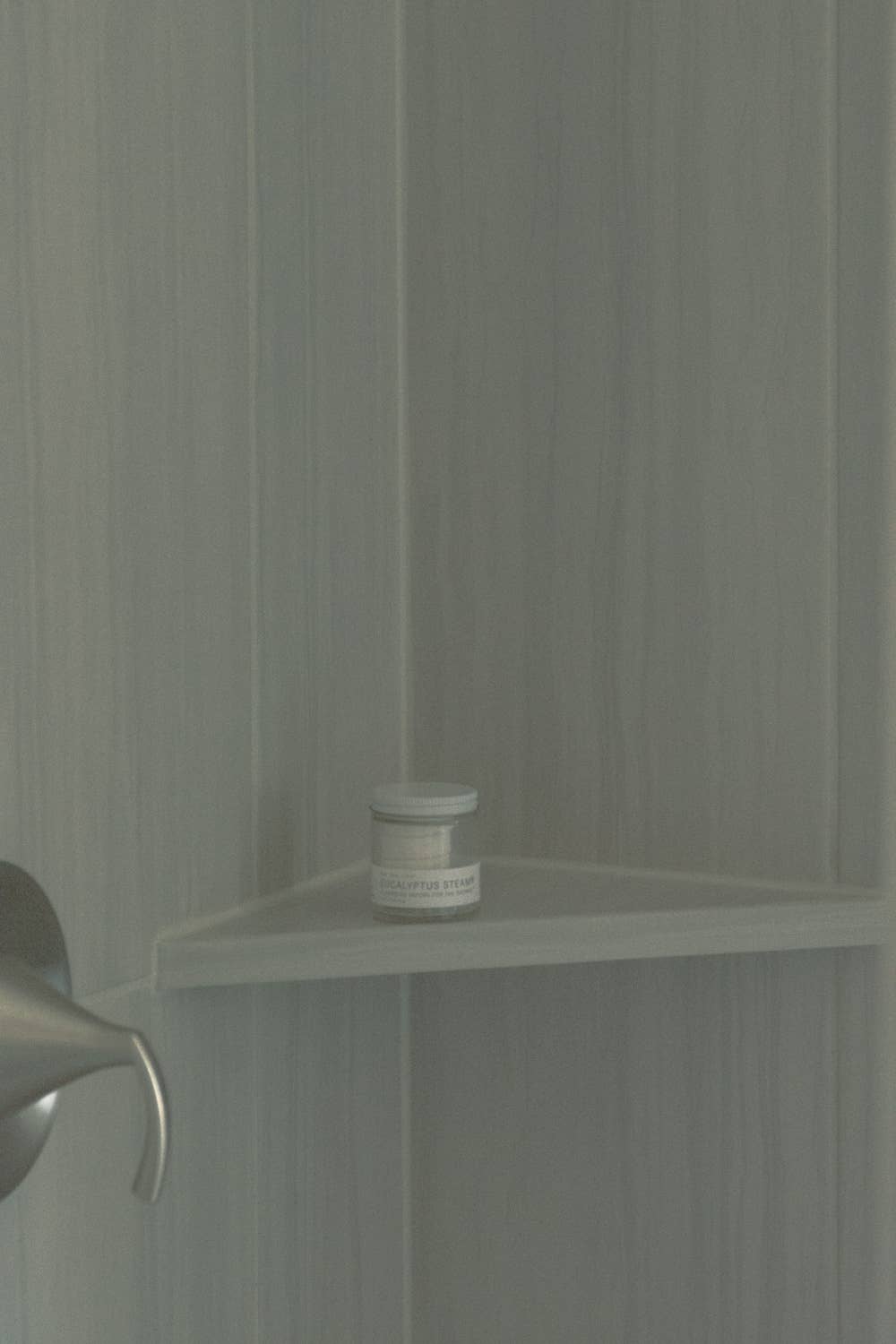 No Tox Life EUCALYPTUS STEAM® Cleansing Vapors for the Shower