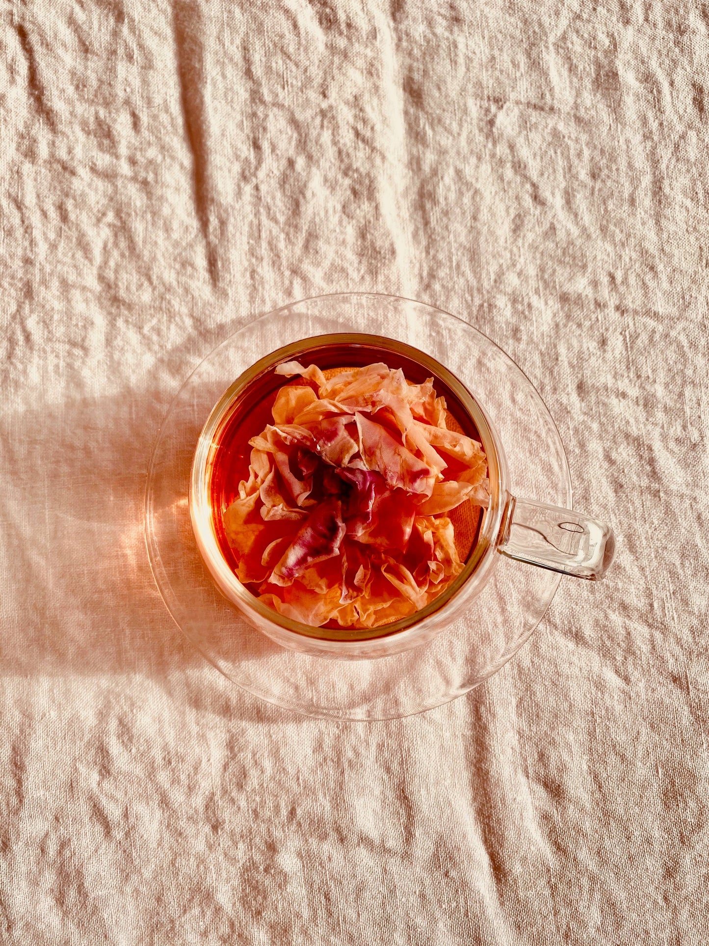 Bulk 100 Individually Wrapped Flower teas (herbal tea)