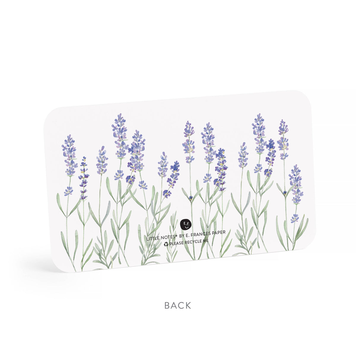 Lavender Little Notes® – Mini Notecard Pack, Set of 55