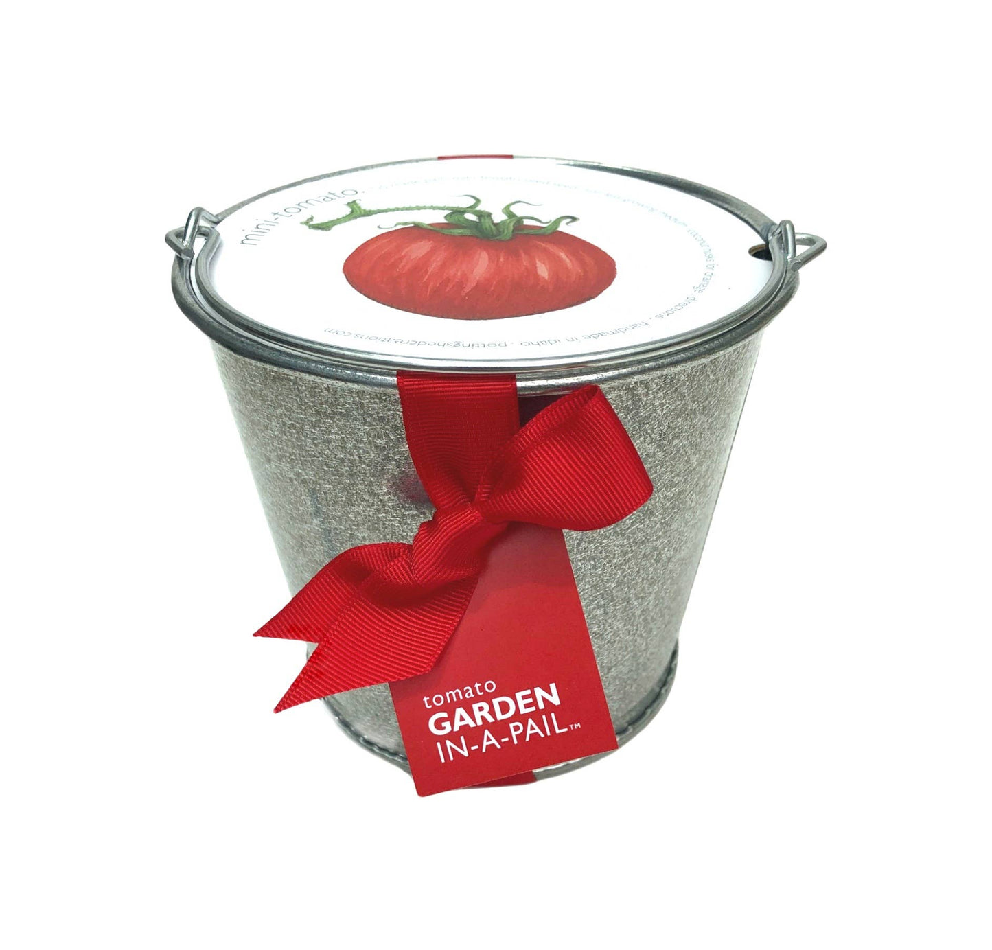 Garden in a Pail | Mini Tomato |Easy Spring Container Garden