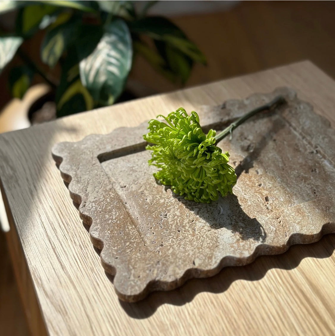 Anastasio 810 Tray