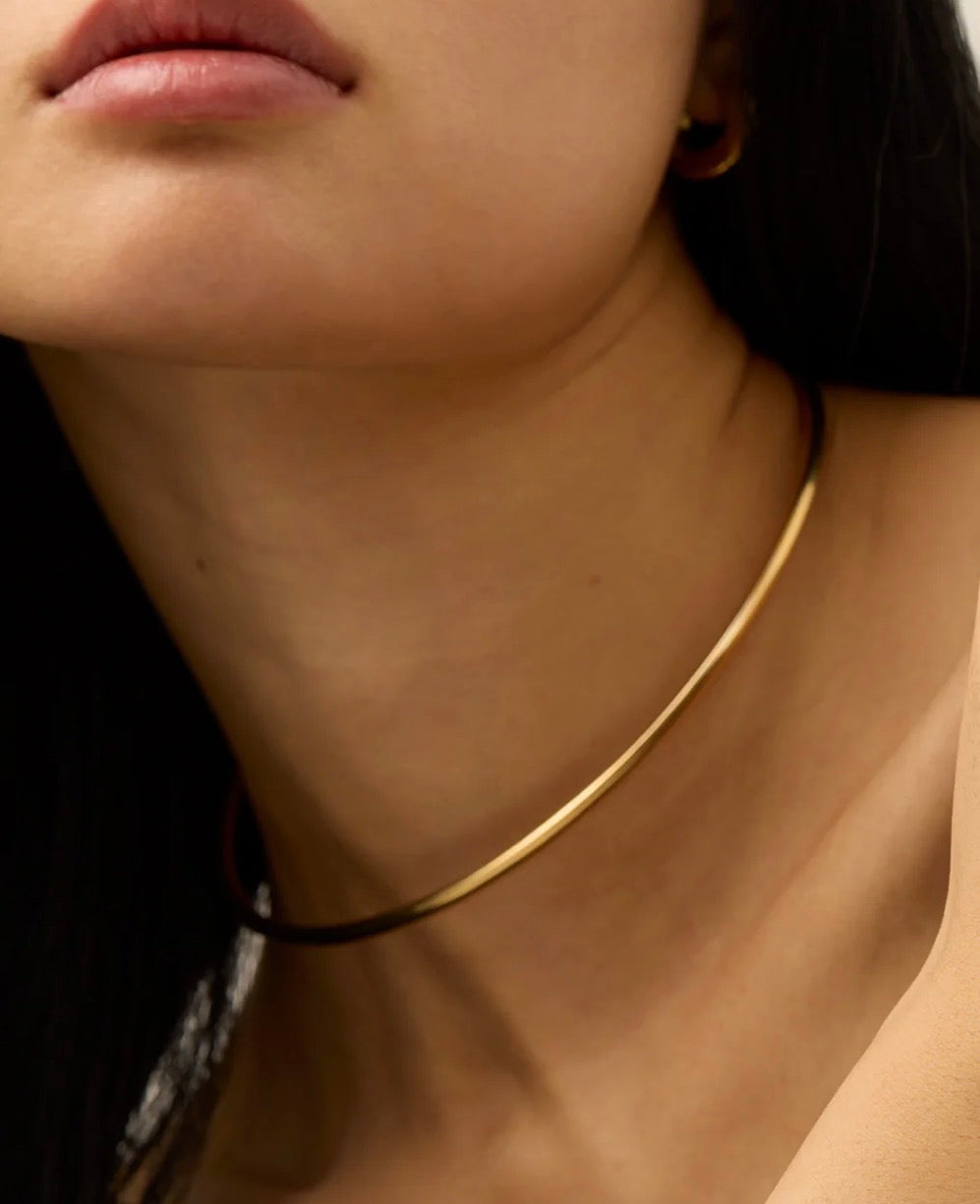 Dane Collar